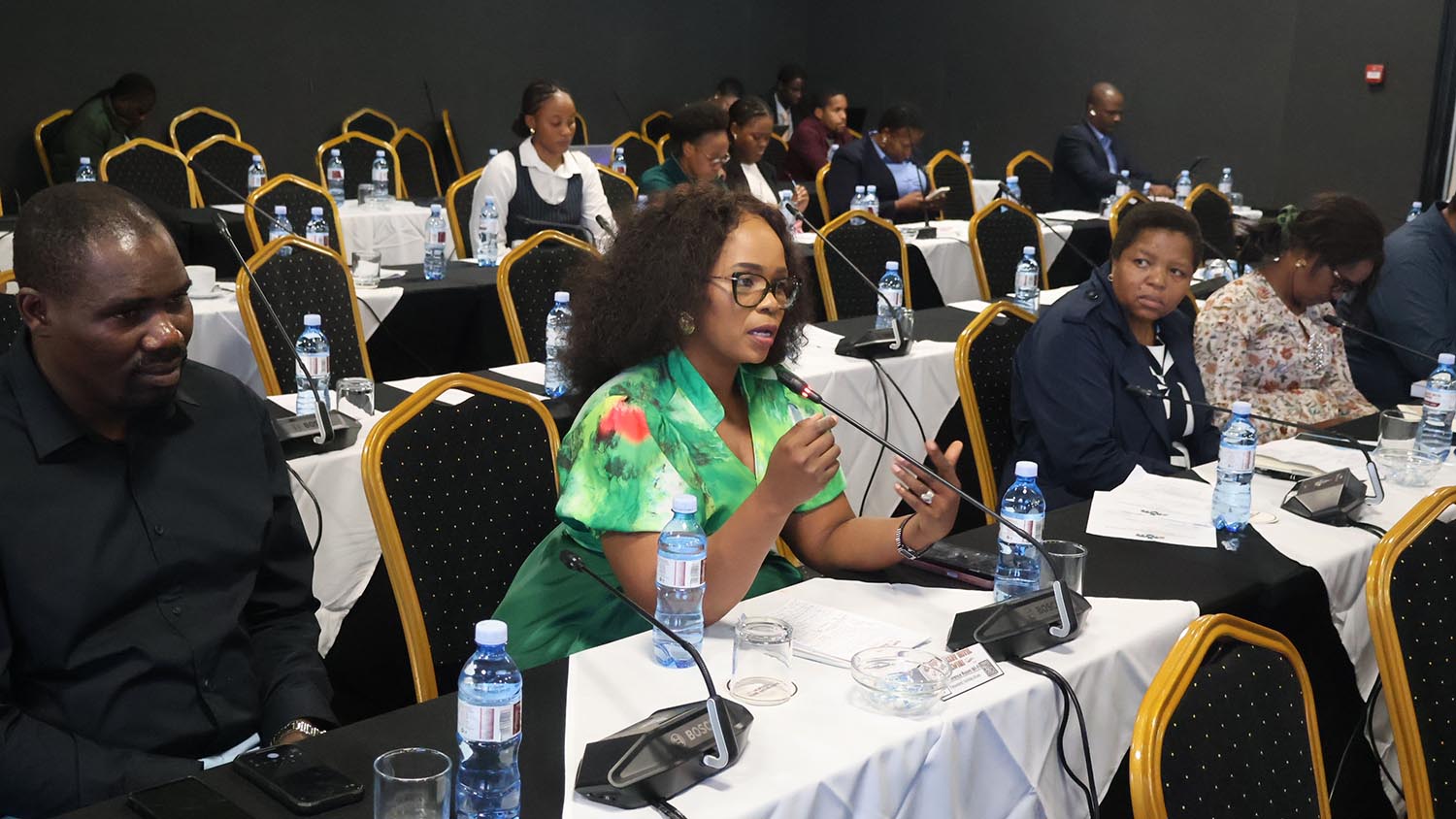 Hhohho Region Member of Parliament Tanele Magagula also made a submission. 